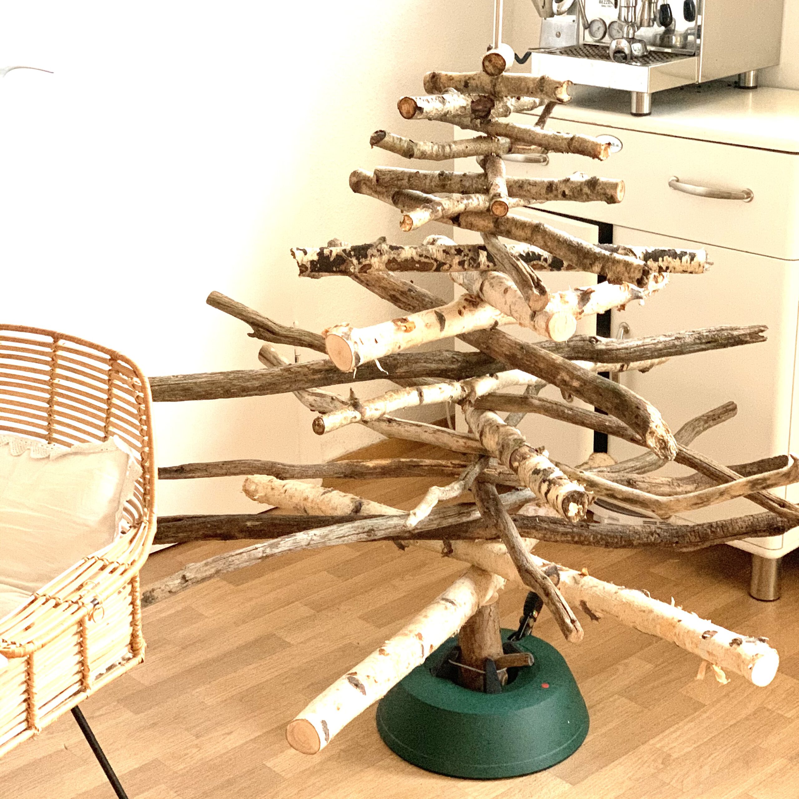 Nachhaltiger (DIY) Weihnachtsbaum - Nachhaltig Guide